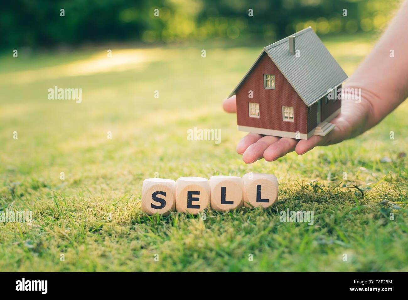 Konzept der Verkauf eines Hauses. Eine Hand hält ein Modell über eine Wiese. Würfel Form das Wort 'Sell'. Stockfoto
