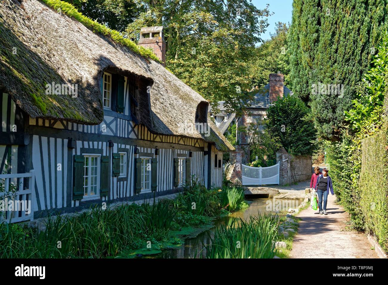 Frankreich, Seine Maritime, Pays de Caux, Cote d'Albatre (Alabaster Küste), Veules les Roses, die Schönsten Dörfer von Frankreich, der Ortschaft Veules les Roses wird durch die Veules, berühmten Fluss für die kurze Länge seines Kurses (1100 m), Cottage am Ufer des Veules Stockfoto