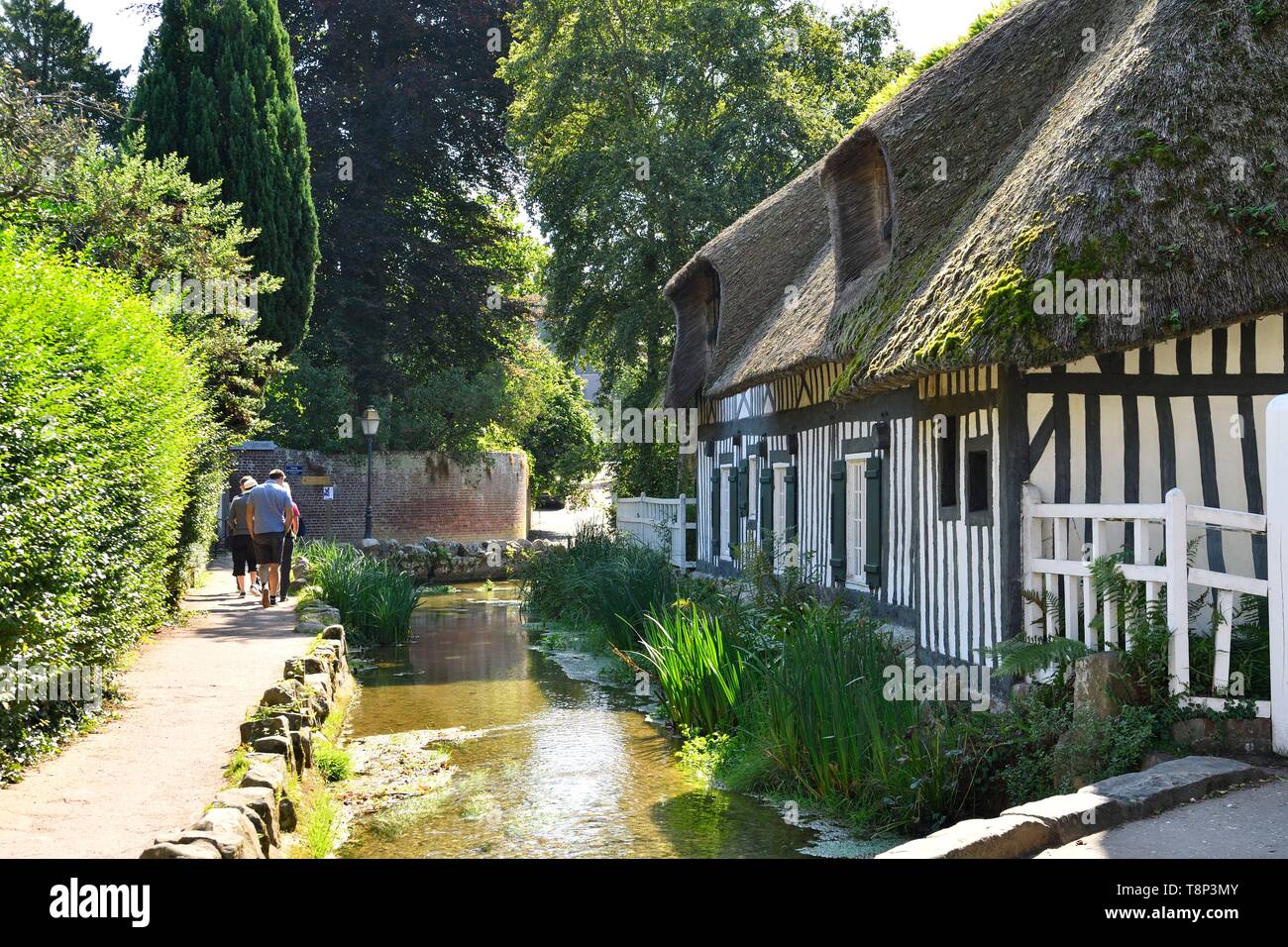 Frankreich, Seine Maritime, Pays de Caux, Cote d'Albatre (Alabaster Küste), Veules les Roses, die Schönsten Dörfer von Frankreich, der Ortschaft Veules les Roses wird durch die Veules, berühmten Fluss für die kurze Länge seines Kurses (1100 m), Cottage am Ufer des Veules Stockfoto