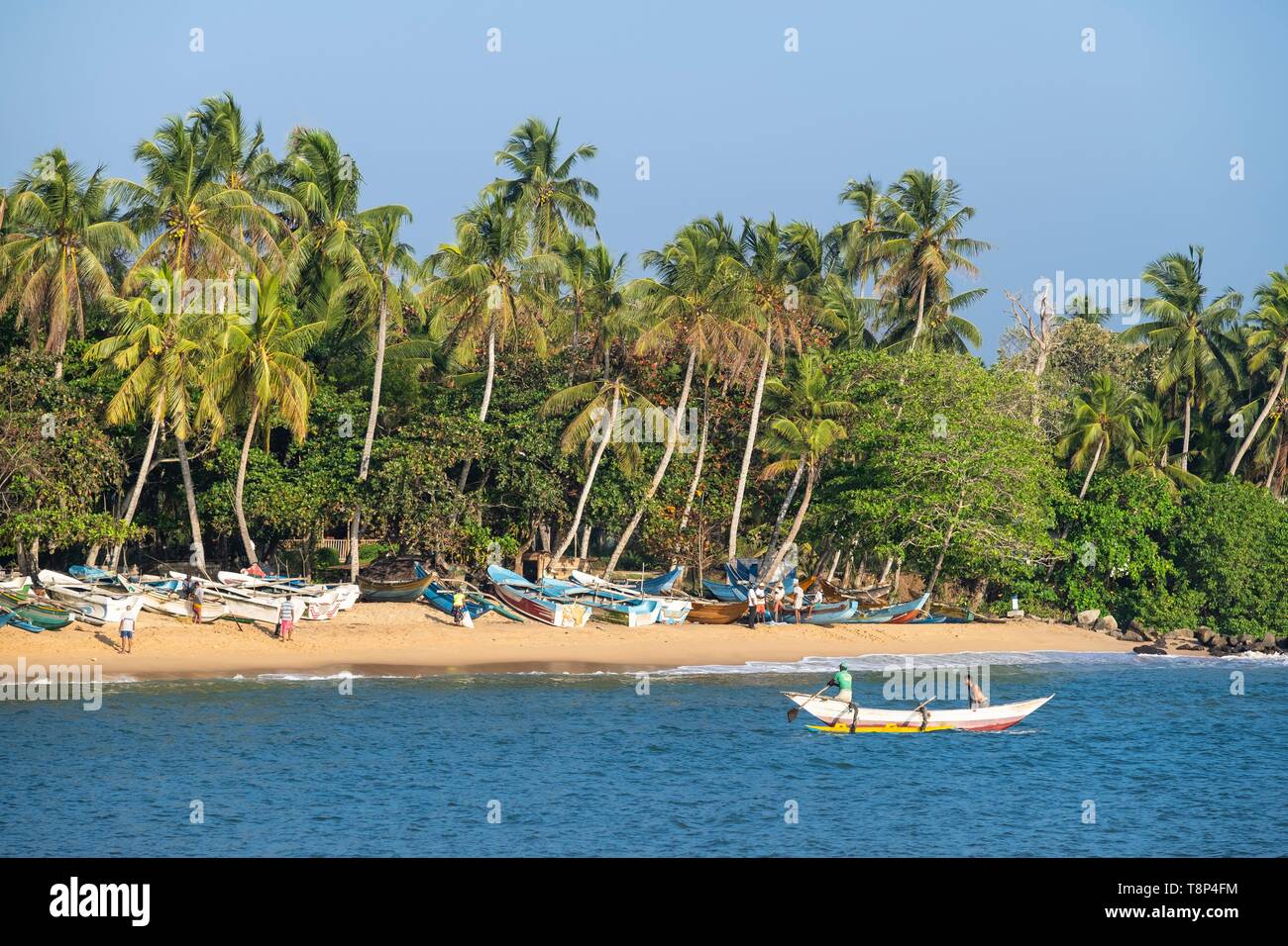 Sri Lanka, Bundesland Kärnten, Tangalle, Strand in der Nähe von Fischerhafen Stockfoto