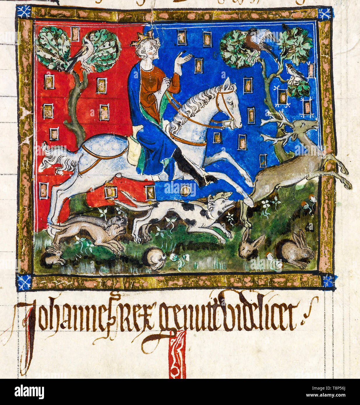 König John die Jagd ein Hirsch mit Windhunden, 14. Jahrhundert, illustrierte Handschrift Stockfoto