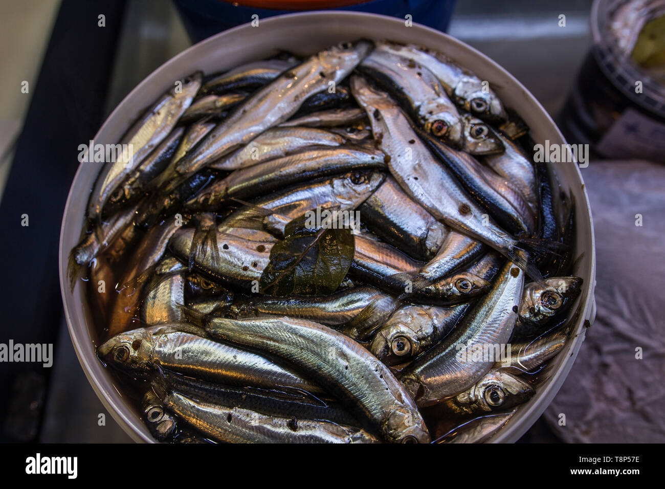 Meeresfrüchte und industrielle Ausrüstung für die Fischerei Stockfoto