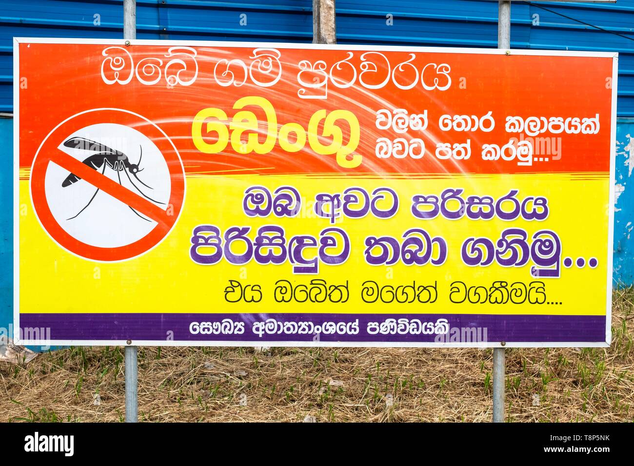 Sri Lanka, Western Province, Negombo, Prävention gegen Mücken Stockfoto