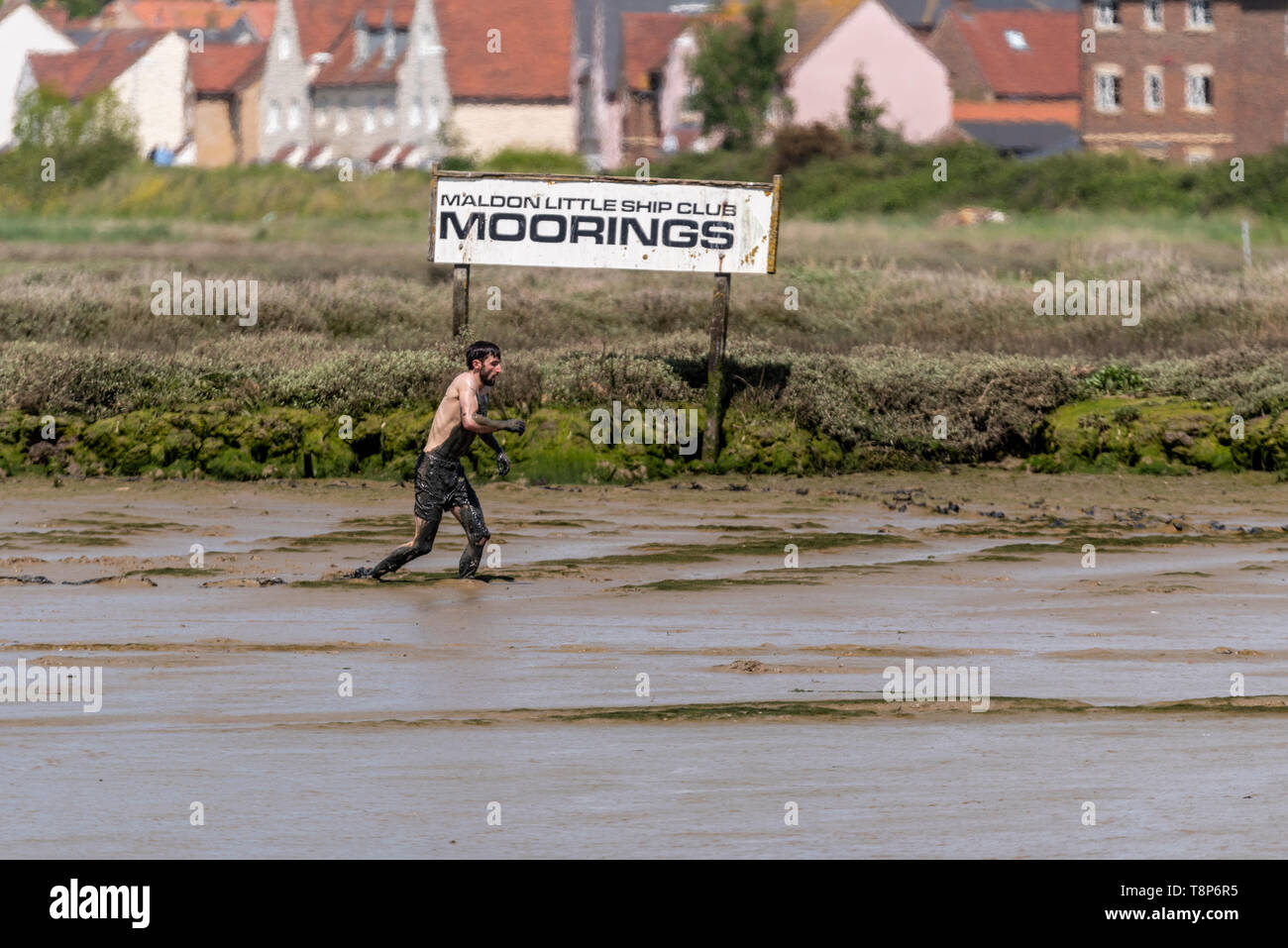 Sieger Christopher Lee, die entlang der Flussufer an der Maldon Schlamm Rennen in den Fluss Blackwater, Maldon, Essex, Großbritannien. Stockfoto