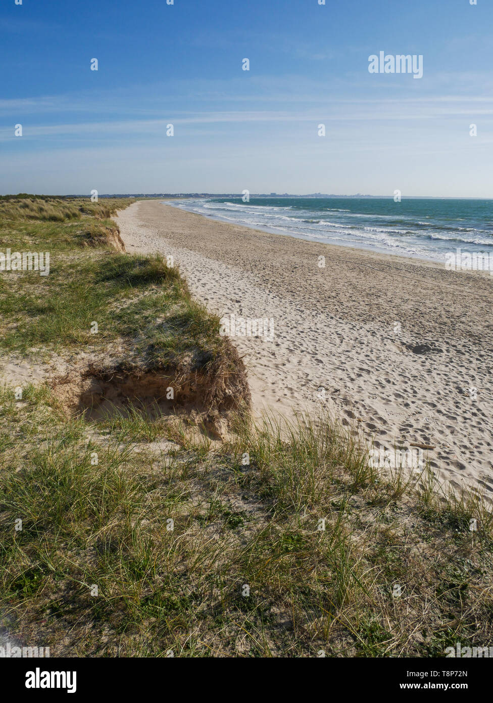 UK Wetter ein schöner Tag für einen Spaziergang rund um die Purbeck Hills und kleinen Meer. Alle National Trust gehört. Kredit Suzanne McGowan/Alamy Stockfoto