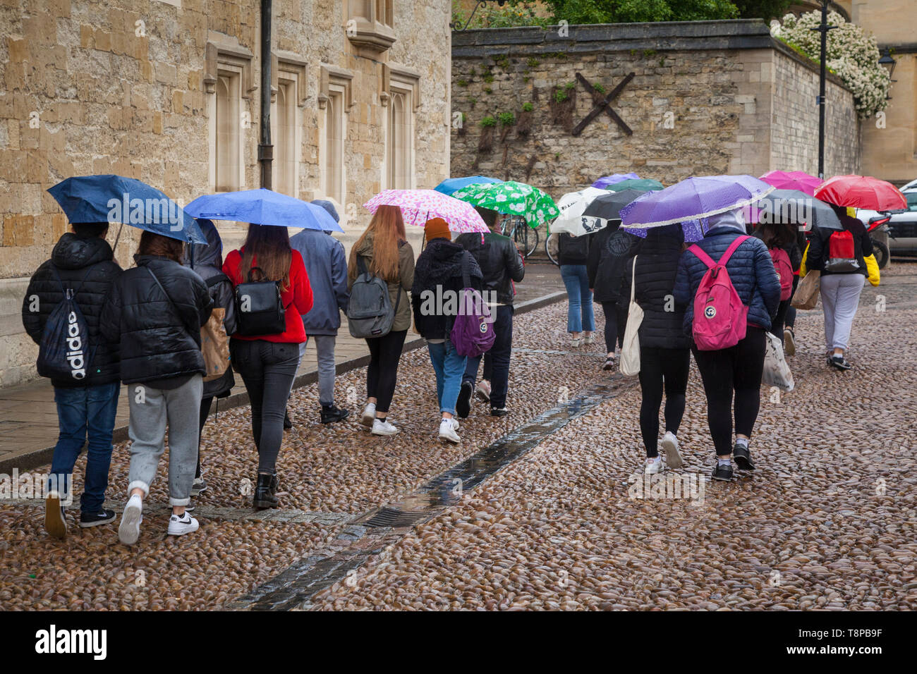 Eine Gruppe von Schülerinnen und Schülern mit Sonnenschirmen im Regen in Oxford Stockfoto
