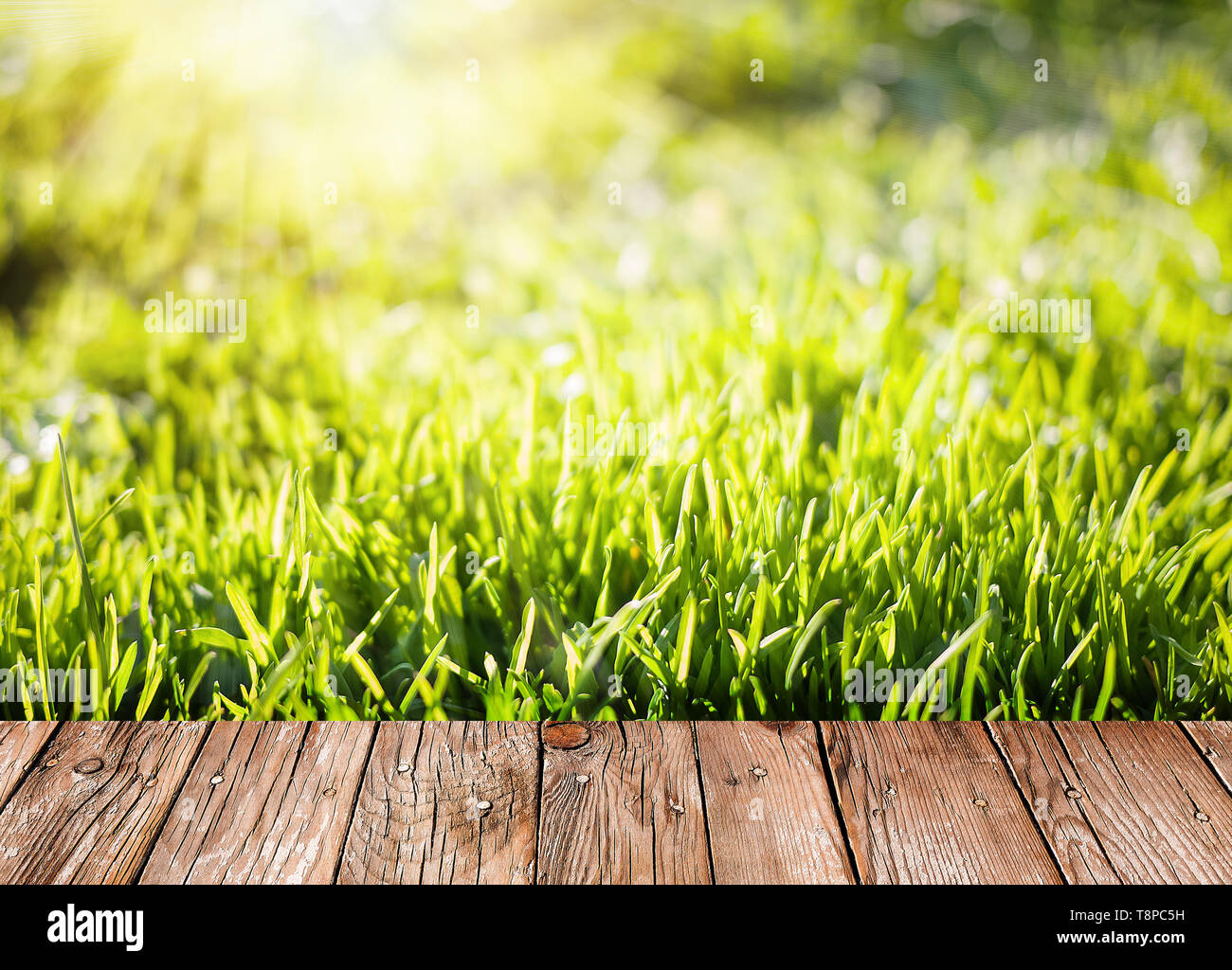 Sommer Garten Hintergrund mit grünem Gras und Holzbohlen Stockfoto