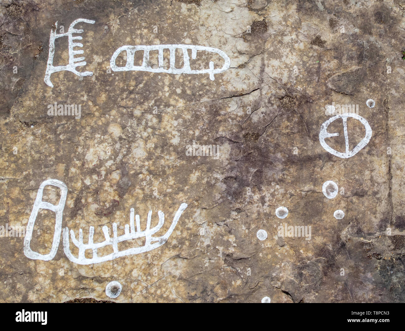 Felszeichnungen aus über 3000 Jahren in der Nähe der Stadt Lidkoping, Schweden Stockfoto