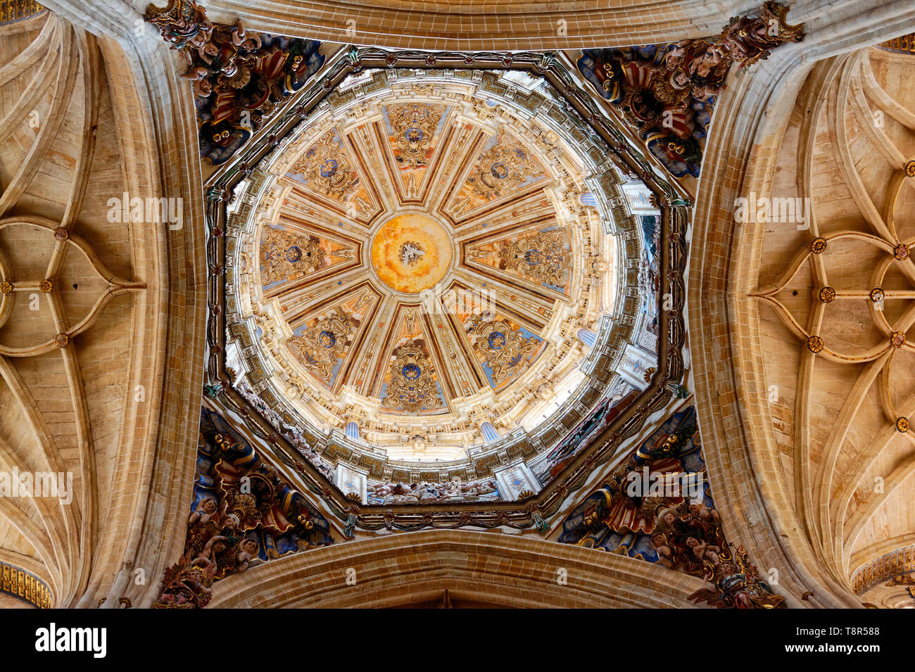 Kathedrale von Salamanca, Interieur, Dome, komplizierte, 12-17 Jahrhundert, Katholischen, alte religiöse Gebäude, reich verzierte, UNESCO-Welterbe; Europa; Salamanca; Spanien; Spr Stockfoto