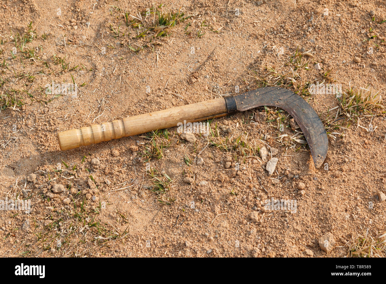 Rusty koreanischen Sichel auf dem Boden. Landwirtschaftlichen Werkzeug Stockfoto