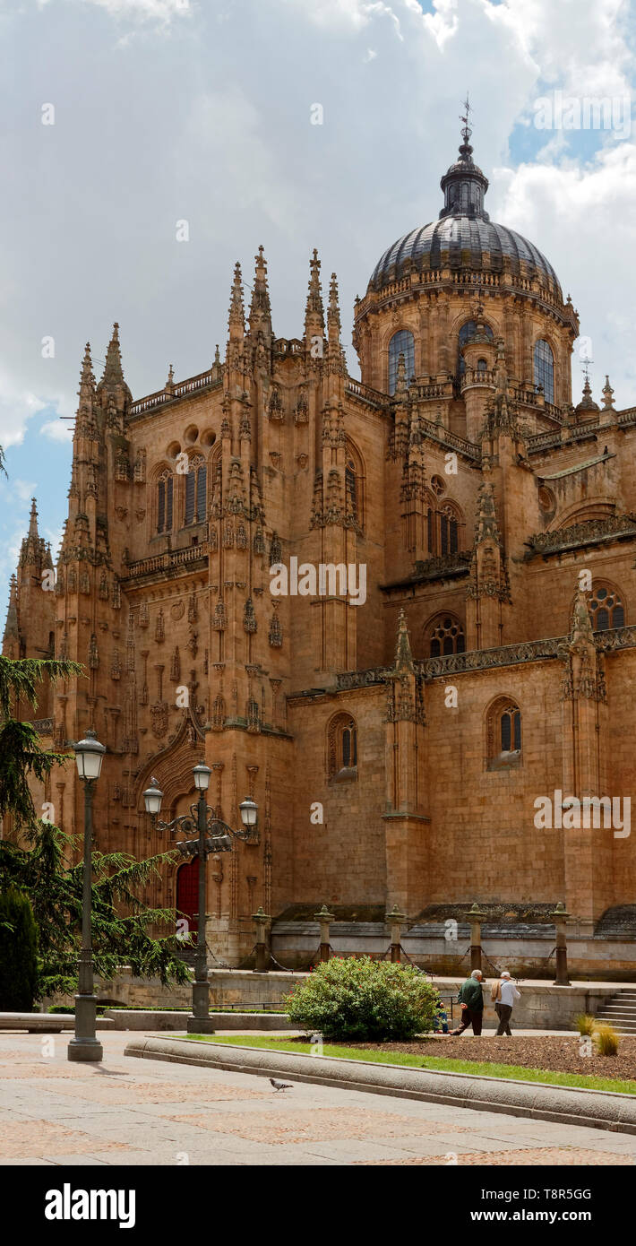 Kathedrale von Salamanca, 12-17 Jahrhundert, Katholischen, alte religiöse Gebäude, reich verzierte, Türme, Dome, UNESCO-Welterbe; Europa; Salamanca; Spanien; Feder; Vertikal Stockfoto