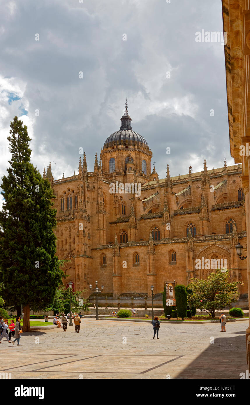 Kathedrale von Salamanca, 12-17 Jahrhundert, Katholischen, alte religiöse Gebäude, verzierte, Dome, Türme, UNESCO-Welterbe; Europa; Salamanca; Spanien; Feder; Vertikal Stockfoto