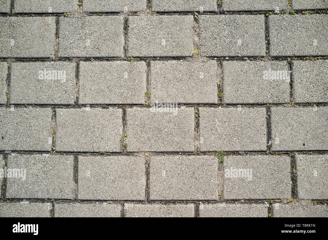 Textur der Betoneinbau mit Gras Wachsen auf Risse Stockfoto