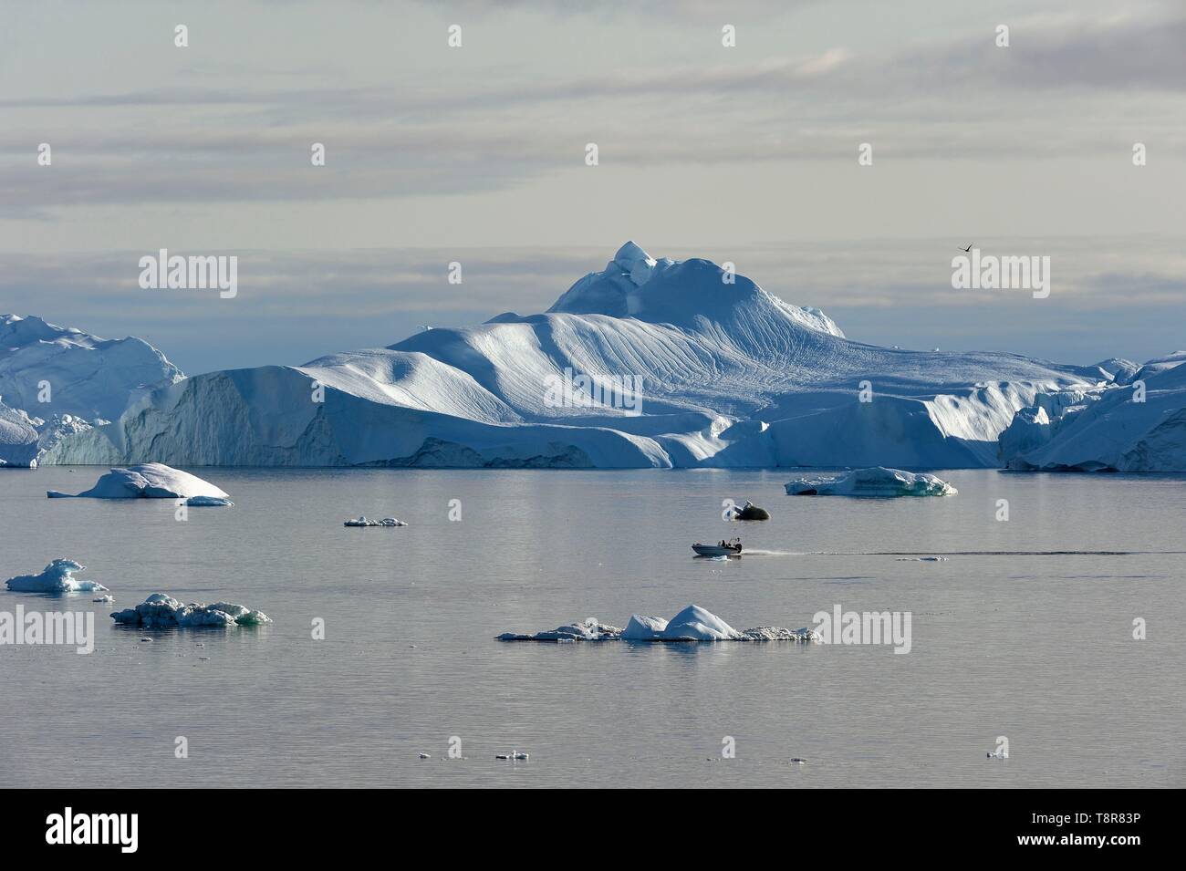Grönland, Westküste, Diskobucht, Ilulissat, Schnellboot über den eisfjord als Weltkulturerbe der UNESCO Stockfoto