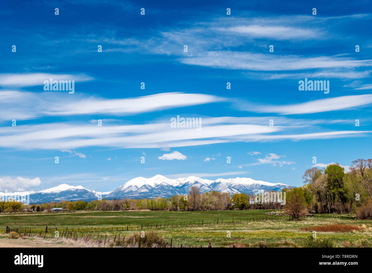 Schönen blauen Himmel mit Cirrus Wolken, schneebedeckten Rocky Mountains am Horizont; Vandaveer Ranch; Salida, Colorado, USA Stockfoto