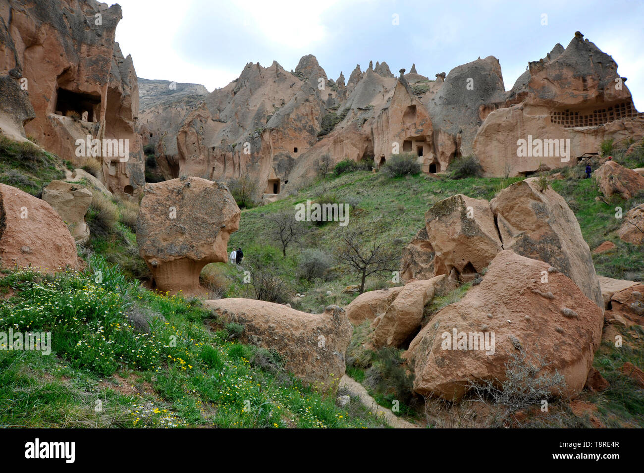 Freilichtmuseum der ungewöhnlichen Felsformationen mit Höhlen in Kappadokien, Türkei Stockfoto