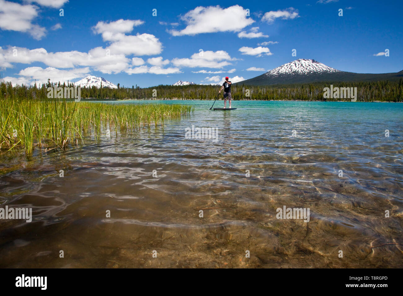 Paddle Board auf einem der zentralen Oregon Cascade Lakes in der Nähe von Bend Oregon Stockfoto