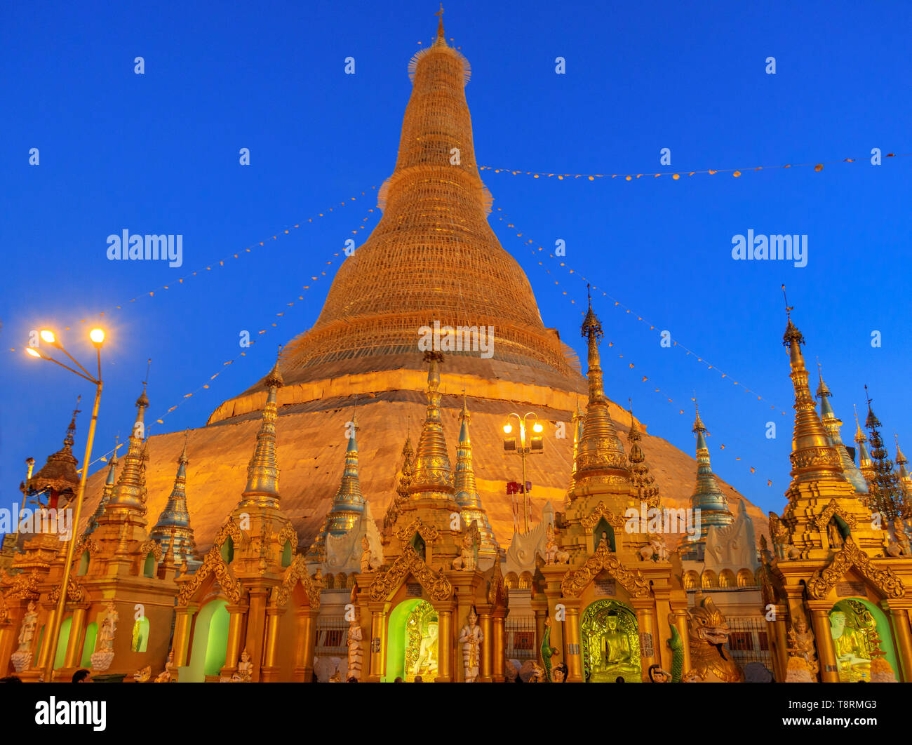 Die Shwedagon-pagode in Yangoon (Myanmar) Stockfoto