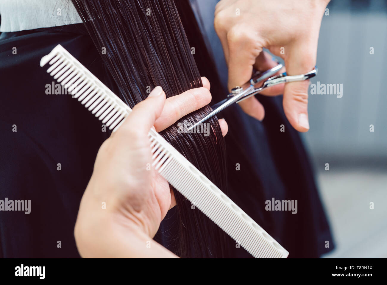 Zuständige friseur Schneiden und Stylen Ihrer Haare der Frau in Ihrem Shop Stockfoto
