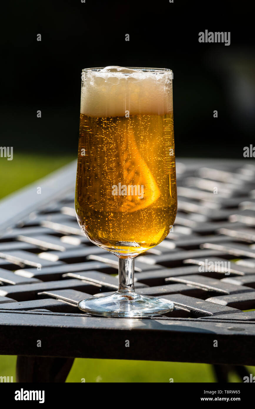 Ein Glas Bier auf einen Gartentisch mit scheint die Sonne durch und eine schaumige Top. Stockfoto