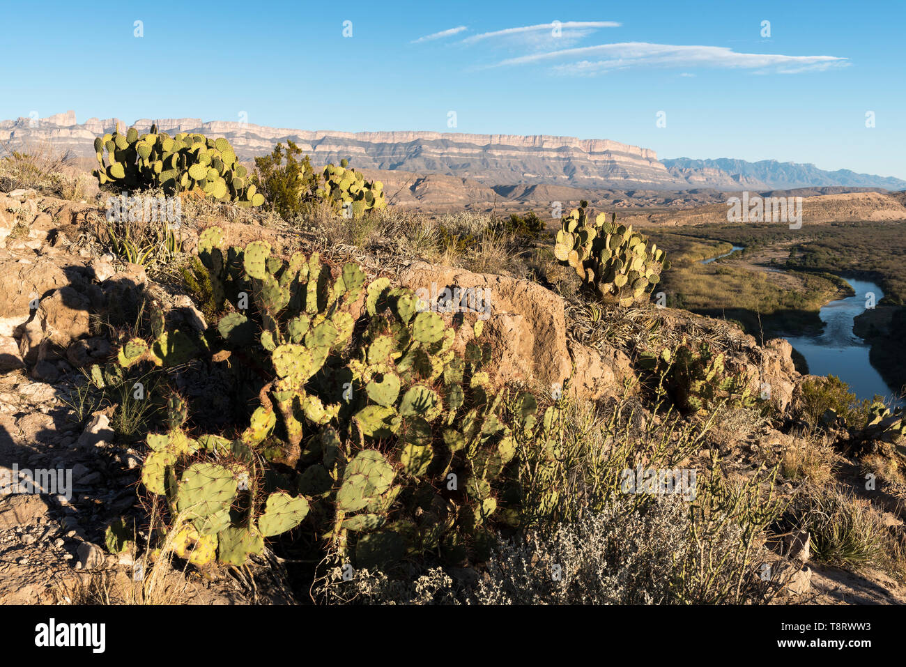 Das Fenster Teil der Chisos Berge öffnet sich in der Wüste Tal mit dem Mond über. Stockfoto