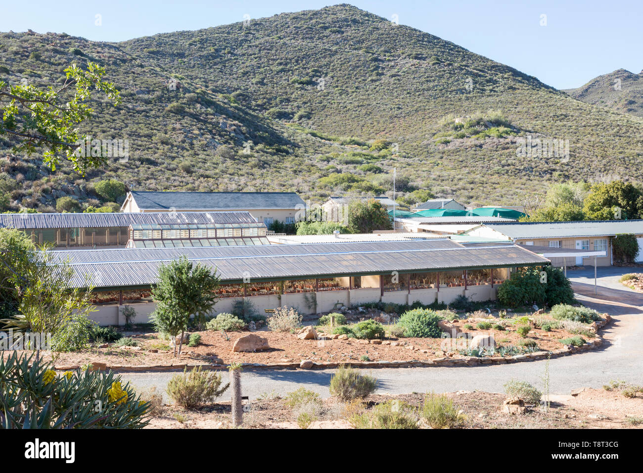 Herbarium an Karoo Wüste Nationalen Botanischen Garten, Worcester, Western Cape Gehäuse der Index Sammlung mit über 3900 Taxa der Südafrikanischen plan Stockfoto