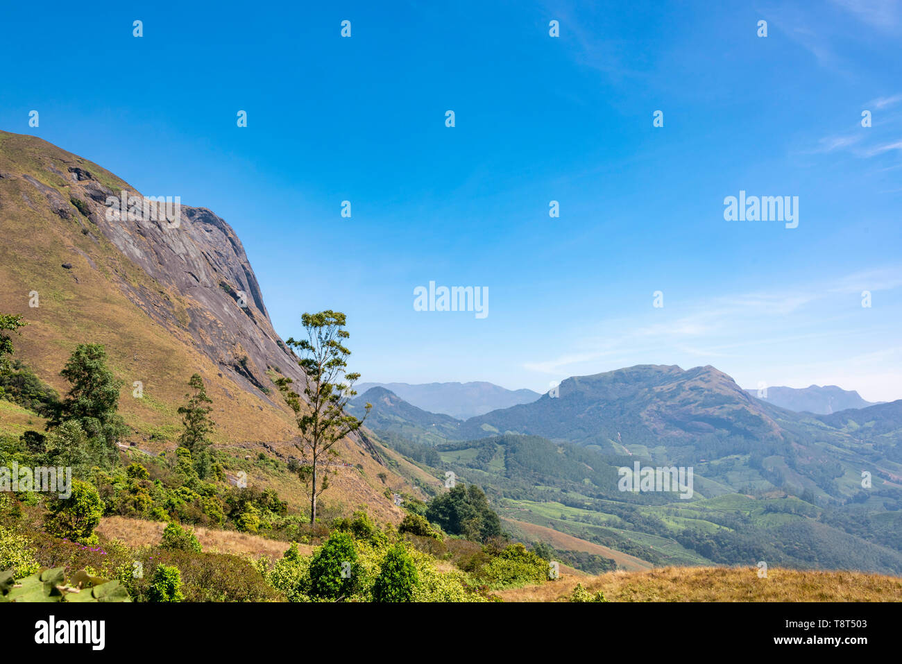 Horizontale Ansicht von Ana Mudi peak in Eravikulam Nationalpark in Munnar, Indien. Stockfoto