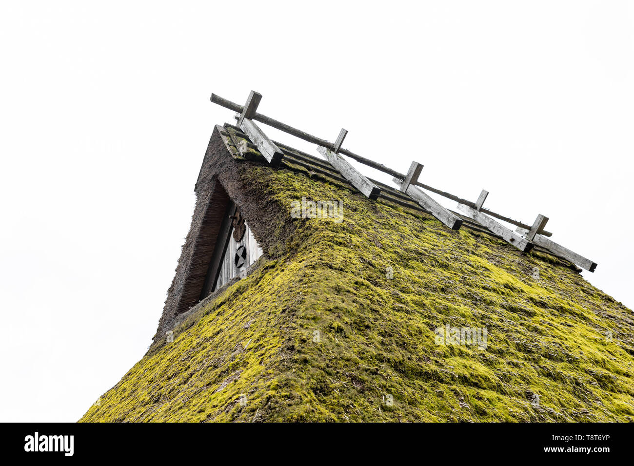 Moos wächst auf traditionellen Japanischen Strohdach Stockfoto