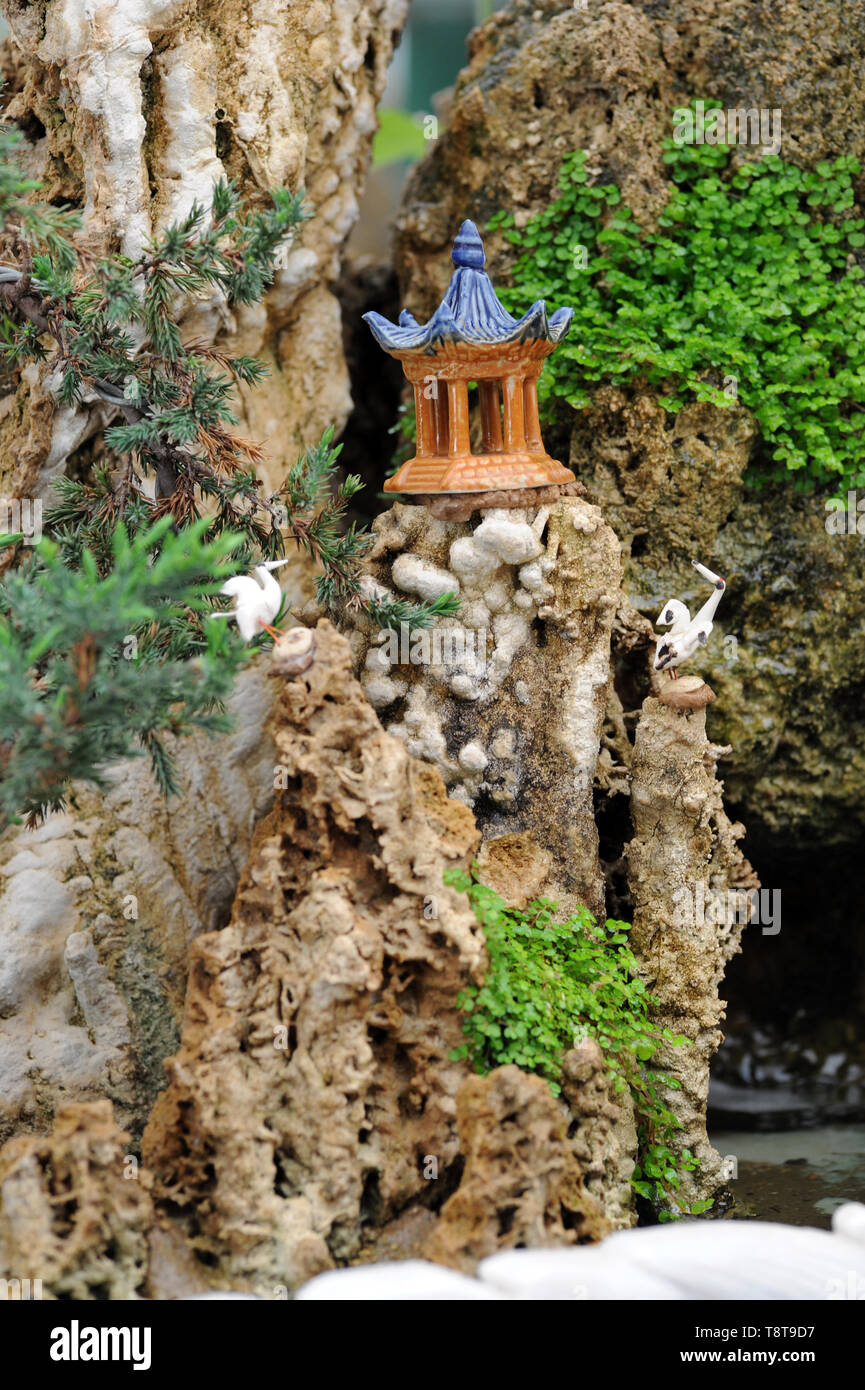 Miniatur Landschaft Bonsai Stockfotografie - Alamy