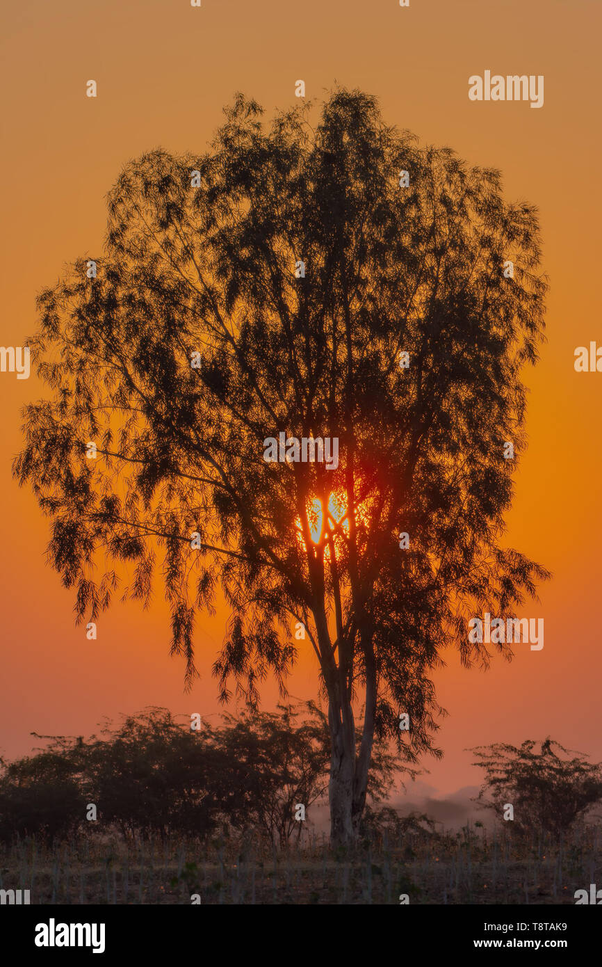 Sonne aufgehen. Stockfoto