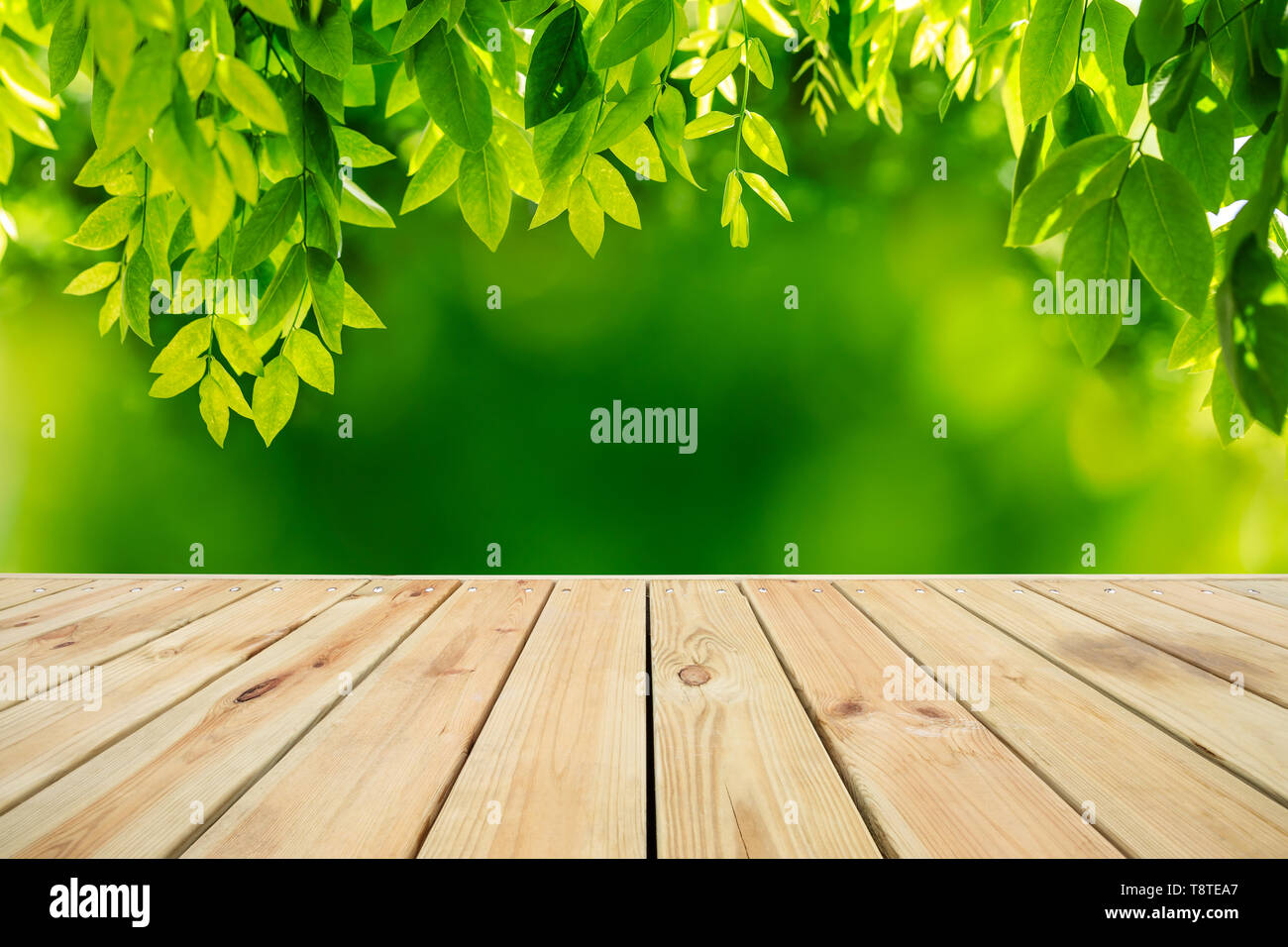 Leere laufbelag Tischplatte mit Park green Natur Hintergrund Stockfoto