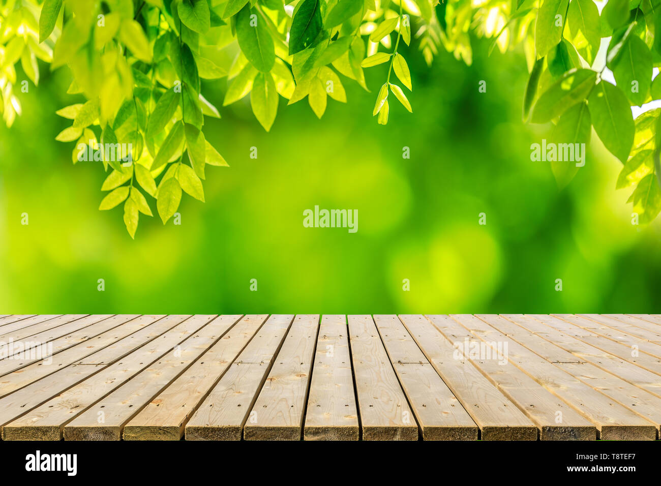 Leere laufbelag Tischplatte mit Park green Natur Hintergrund Stockfoto