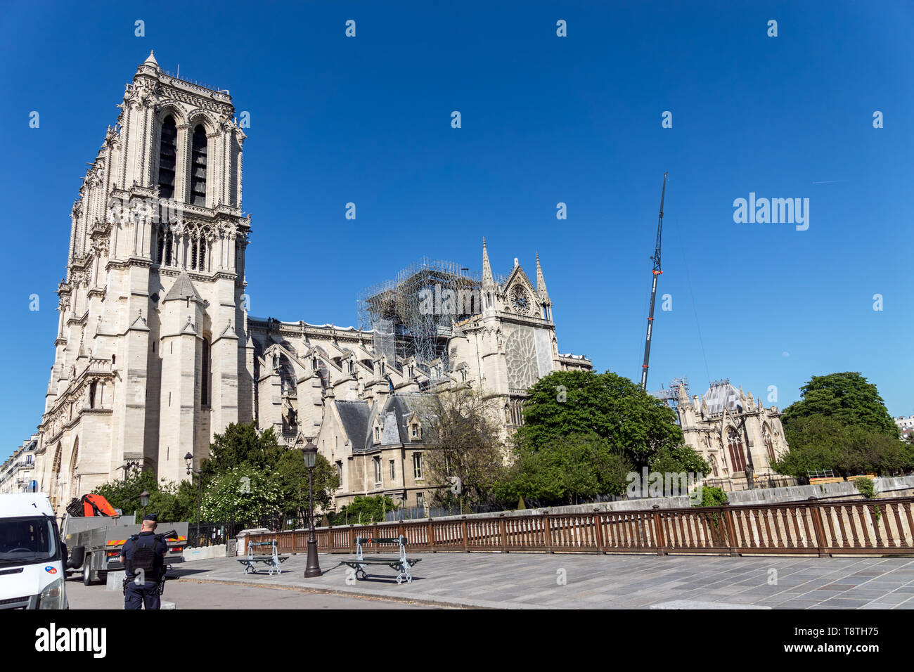 Notre Dame de Paris: Bewehren nach dem Brand Stockfoto
