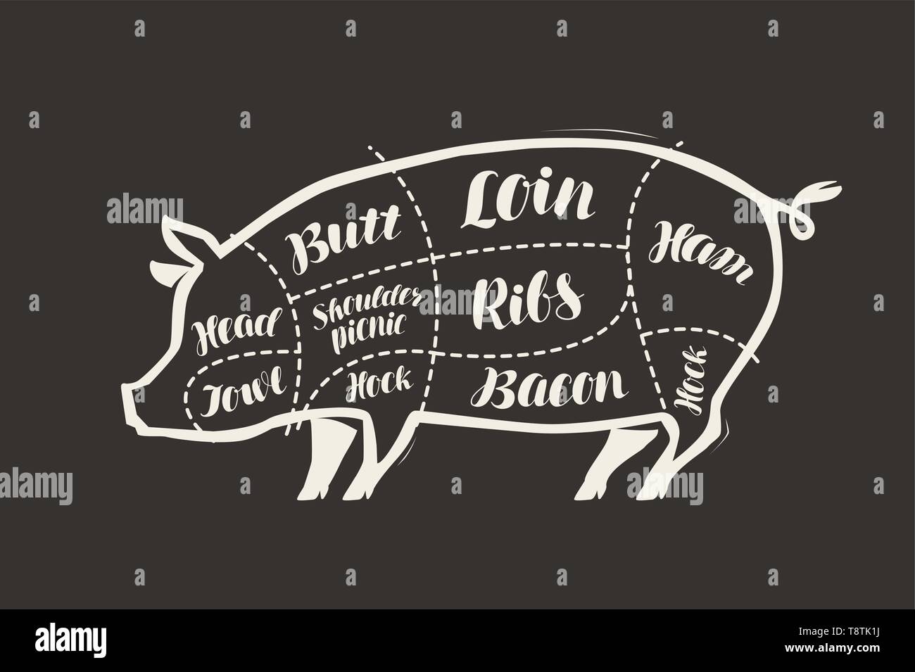 Schneiden von Schweinefleisch an die Tafel gezeichnet. Menü für Restaurant oder Metzgerei. Vektor Stock Vektor
