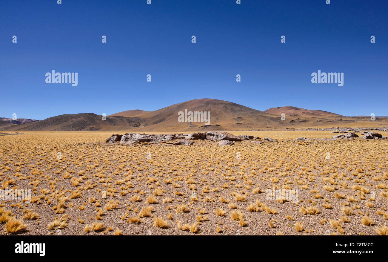 Blick auf den leeren Altiplano durch das Autofenster, Atacama-wüste, Chile Stockfoto