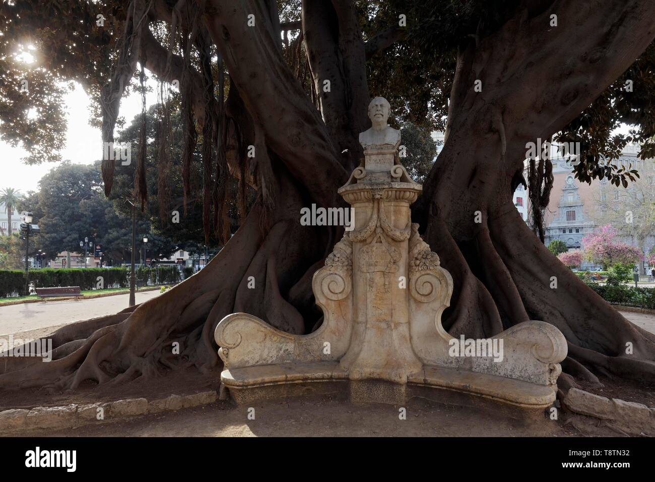 Denkmal des Malers Munoz Degrain unter einem riesigen Baum, Moreton Bay Feigenbaum (Ficus macrophylla), Park Glorieta, Jardins de La Glorieta, Valencia, Spanien Stockfoto