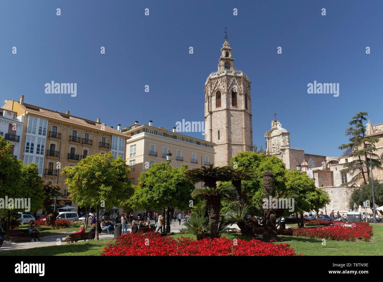 Placa de la Reina mit der Kathedrale von Valencia mit Glockenturm Micalet, Valencia, Spanien Stockfoto