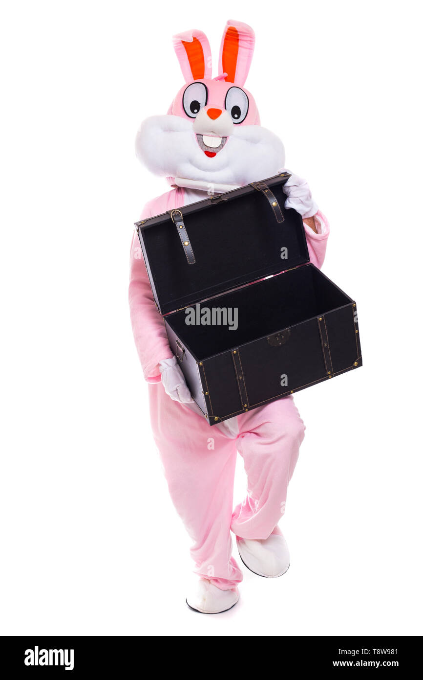 Osterhase hält Geschenke Box oder Brust. Leben Größe Kaninchen feiert Ostern Stockfoto