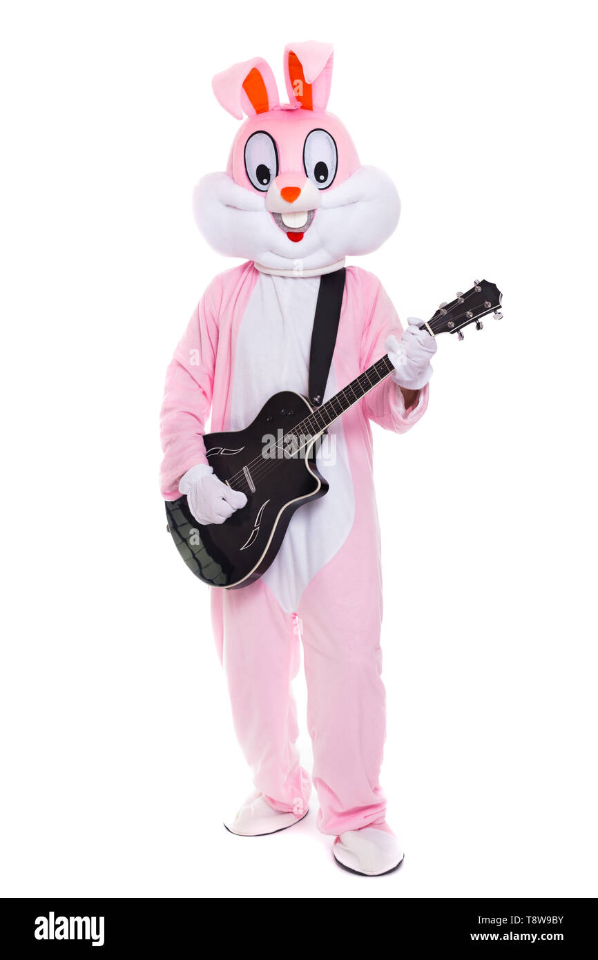 Lustige Anfang Gitarrist oder Gitarrist in Lebensgröße Hase Kostüm mit Gitarre spielt Songs auf weißem Hintergrund Stockfoto