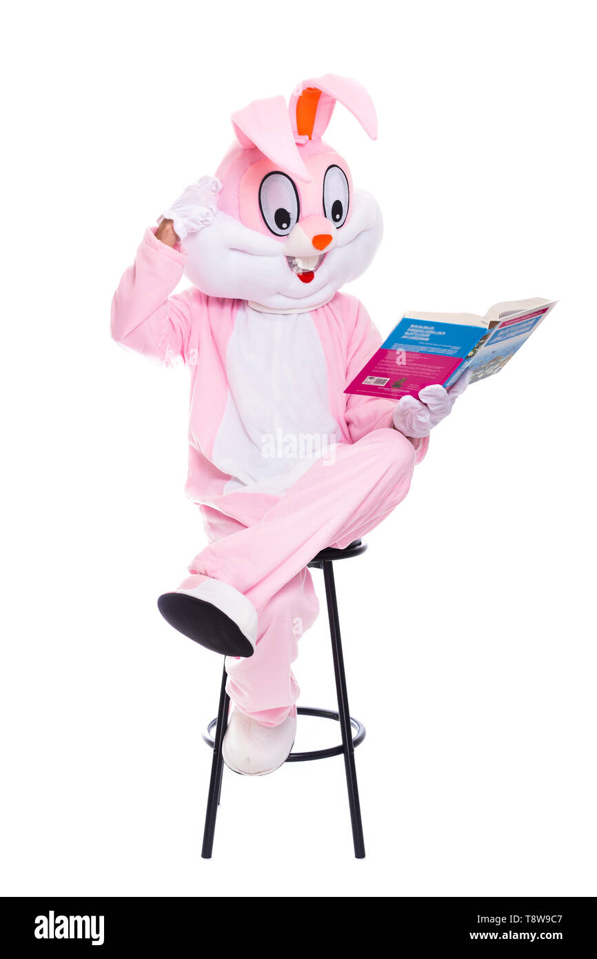Lustige Osterhasen liest das Buch, erhält eine Ausbildung, die versuchen, smart zu sein. Leben Größe Hase Kostüm mit Buch auf weißem Hintergrund Stockfoto