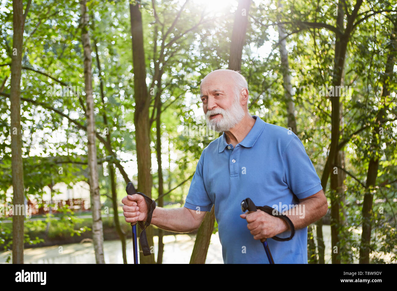 Vital senior Züge Ausdauer in der Natur im Park mit Nordic Walking Stockfoto