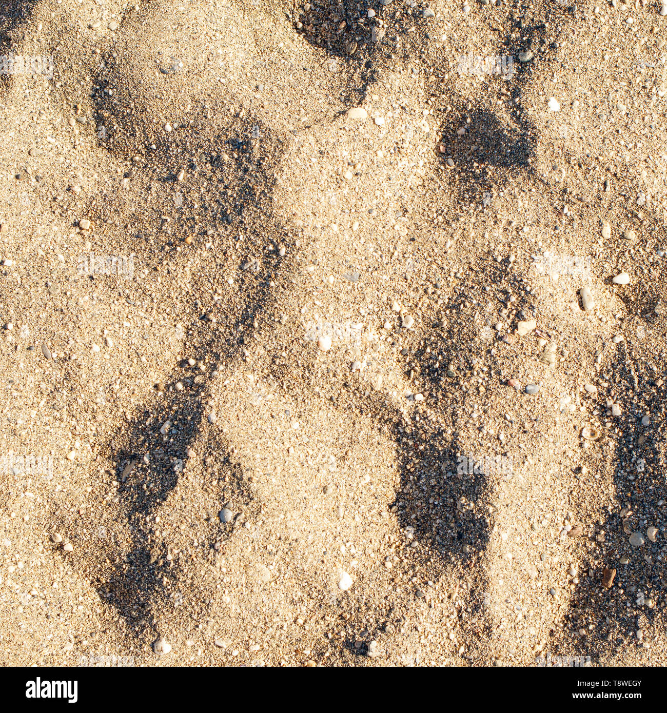 Sand und sandigen Trails in der Sommersonne. Stockfoto