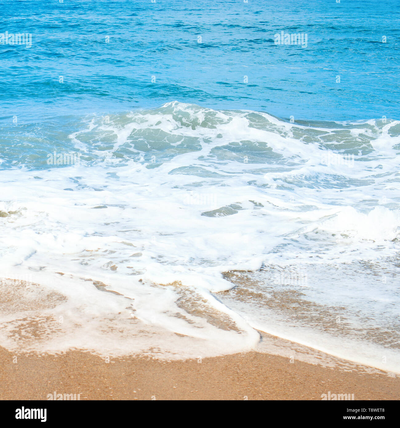 Sandstrand und soft Blue Ocean Wave mit aber abgesehen davon Schaum. Stockfoto