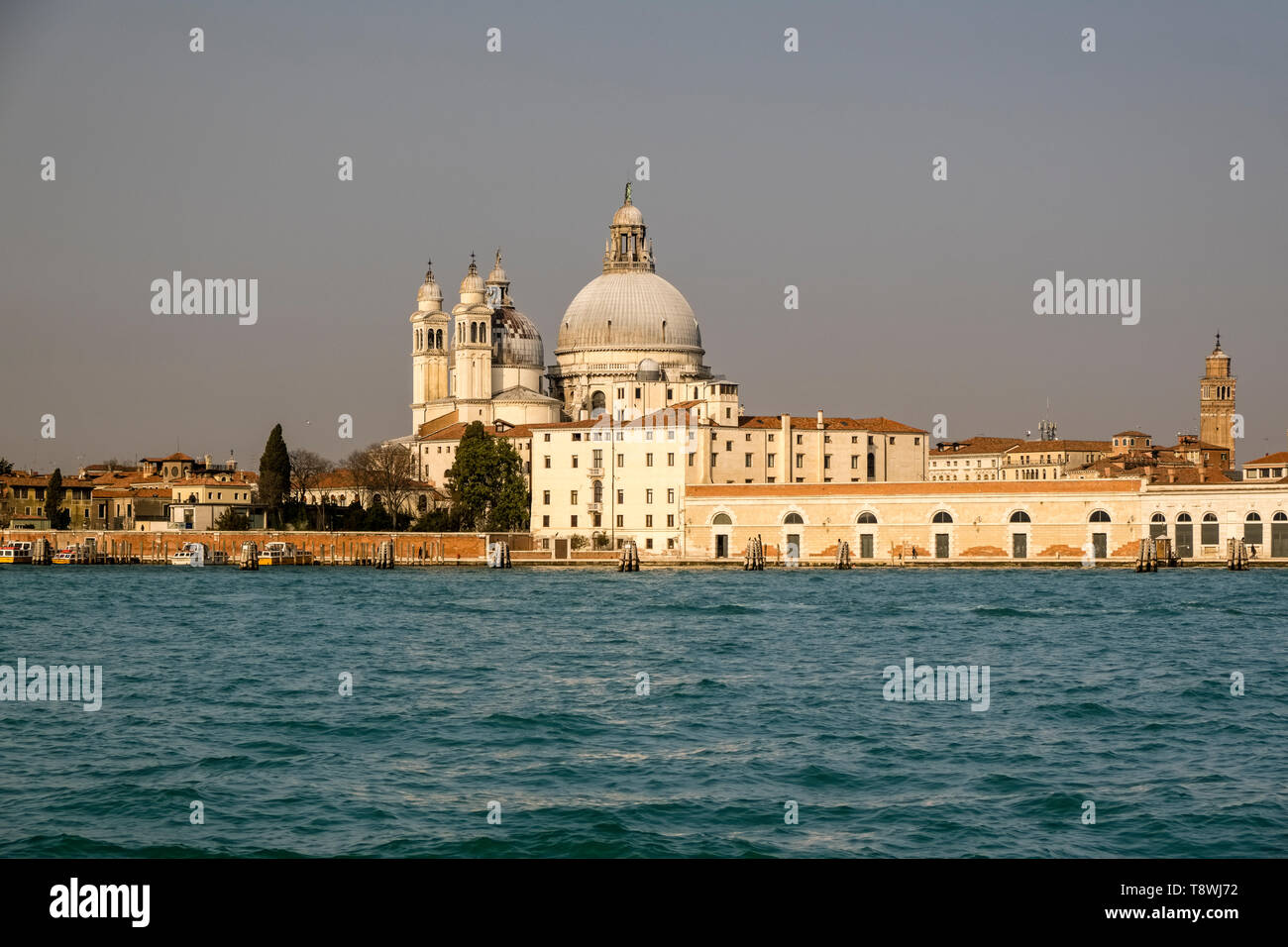 Basilika der heiligen Maria von Gesundheit, die Basilika Santa Maria della Salute, über den Canal Grande gesehen, Canal Grande Stockfoto