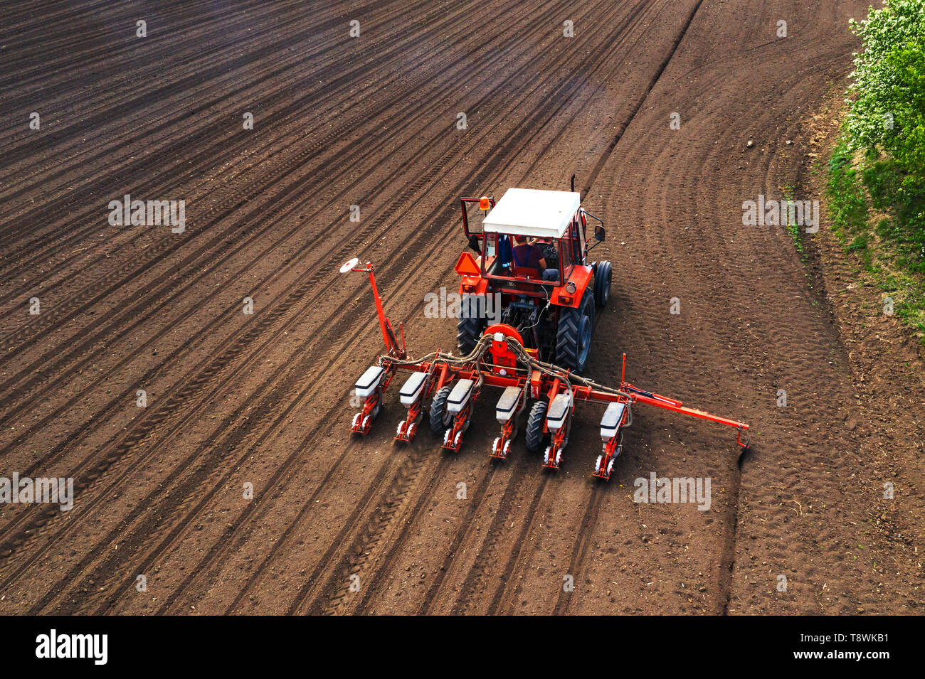 Luftaufnahme des Traktors mit angebautem seeder Durchführung direkter Aussaat von Getreide auf landwirtschaftlichen Feld gepflügt. Bauer ist mit landwirtschaftlichen Maschinen für Plan Stockfoto