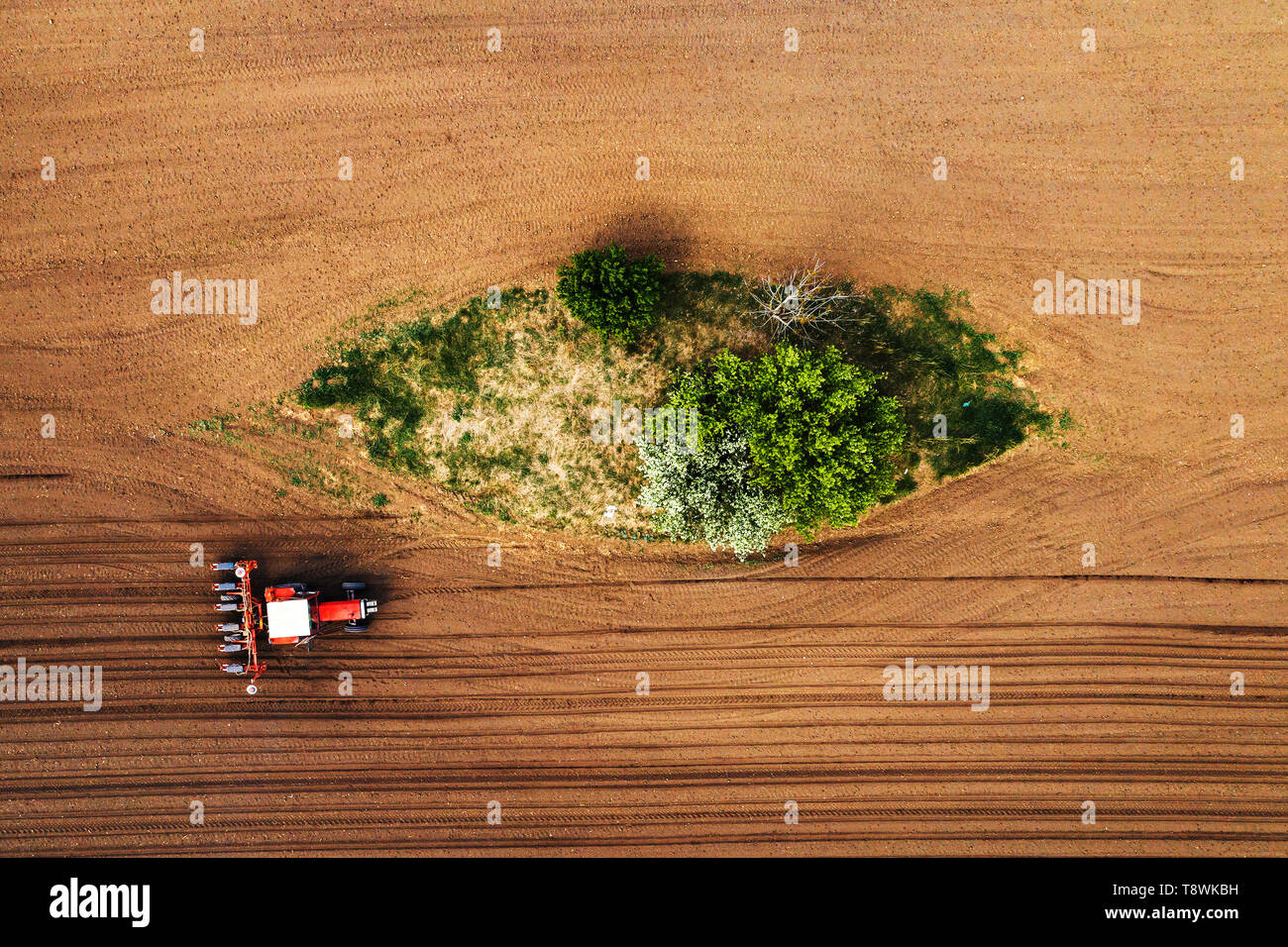 Draufsicht des Traktors mit sämaschine von Drone pov, abstrakte minimal Miniatur Zusammensetzung von landwirtschaftlichen Maschinen in gepflügten Feldes Pflanzen ernten Stockfoto