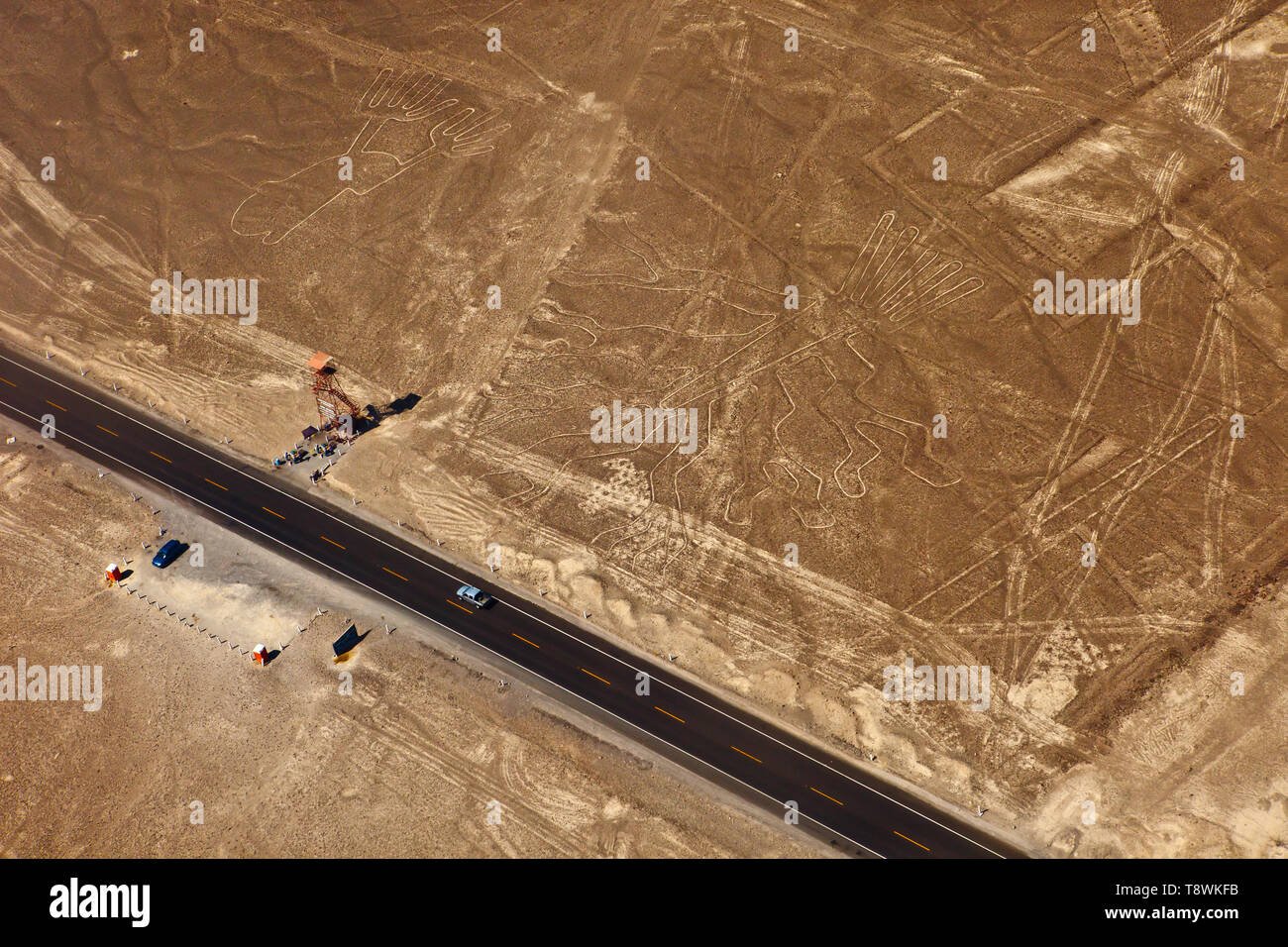 Nazca-linien in Peru vom Flugzeug aus Stockfoto