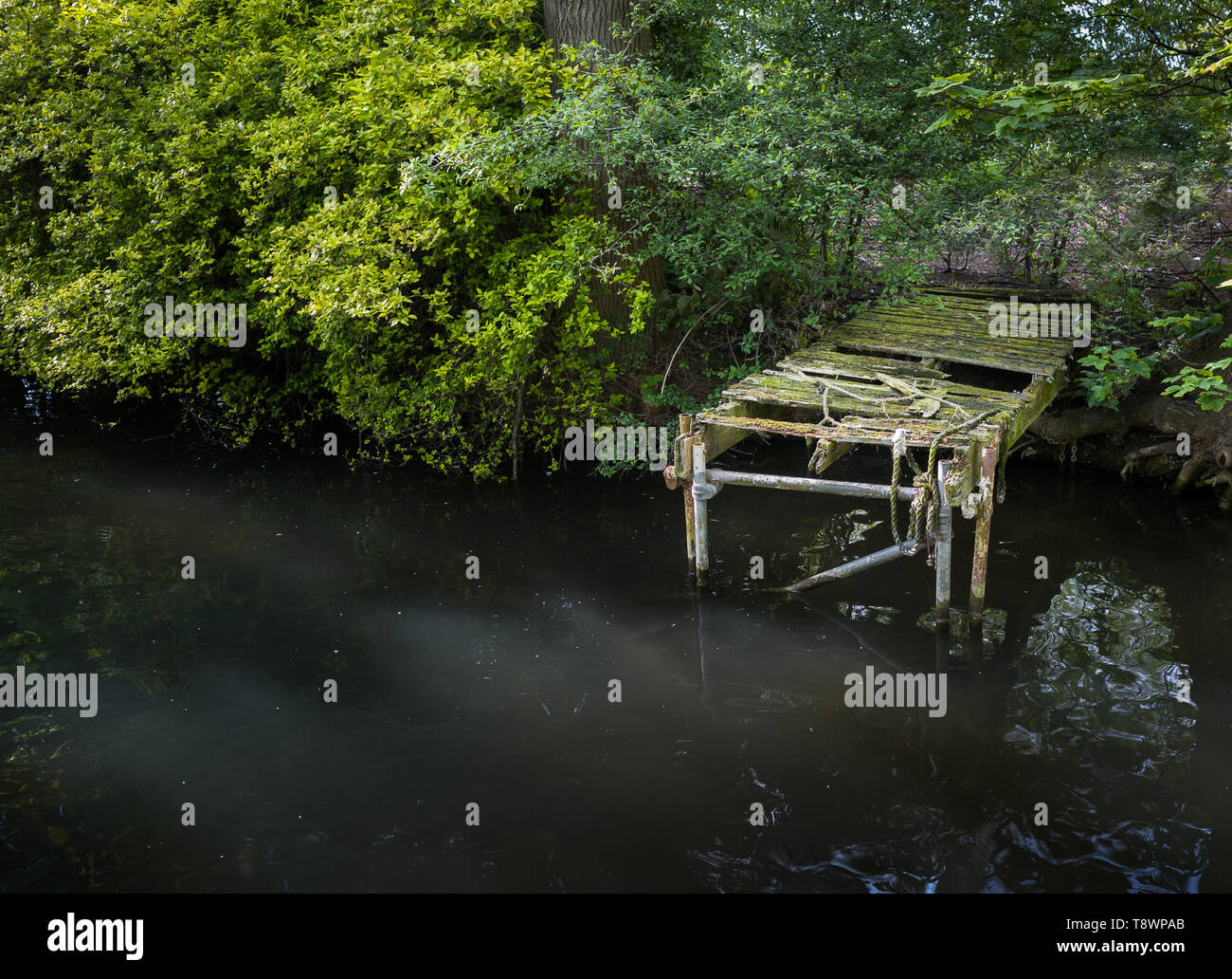 Alten, verlassenen Jetty entlang dem Wasser. Stockfoto