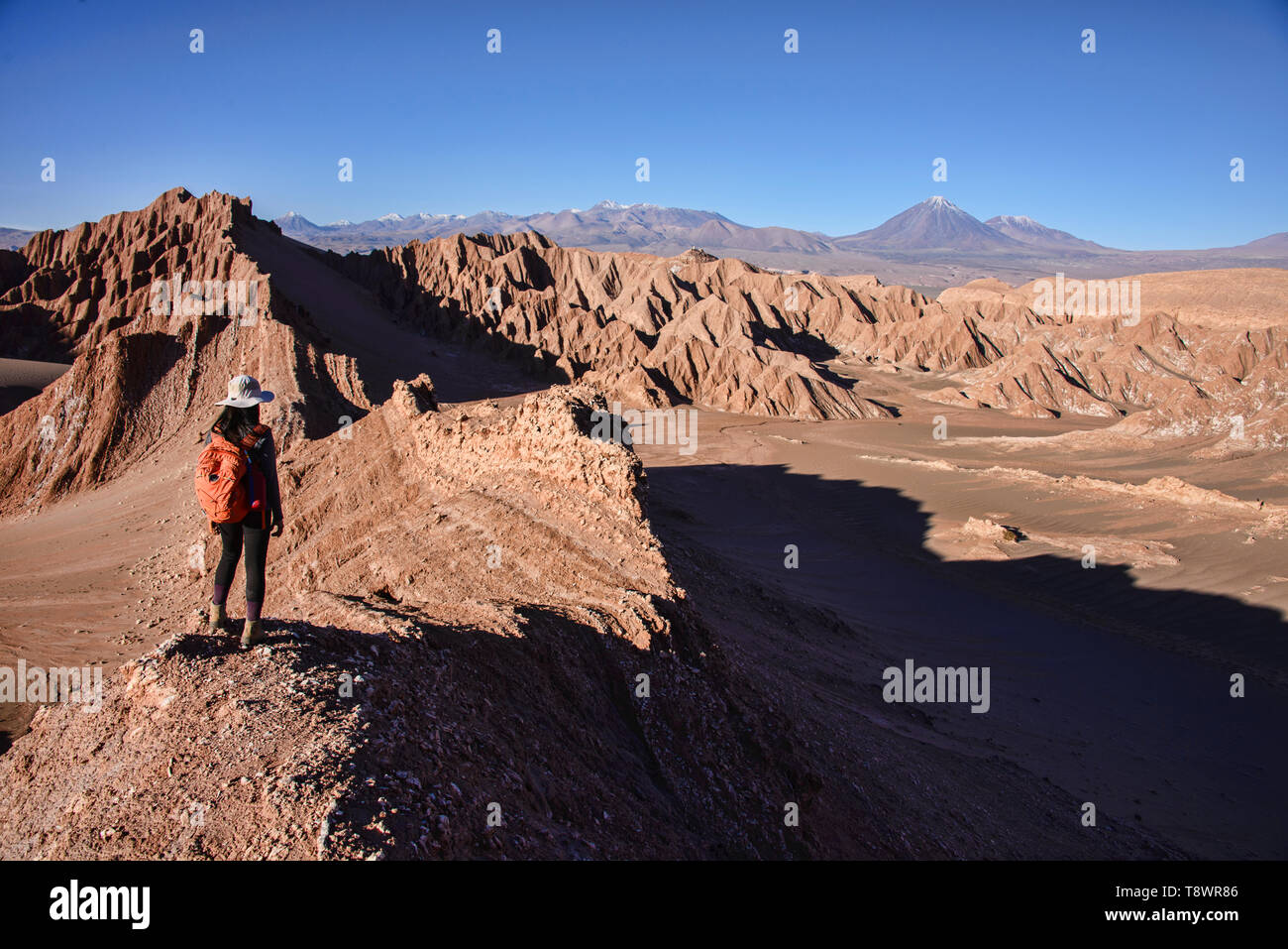 Trekking durch eine wunderschöne Wüstenlandschaft im Valle Marte, San Pedro de Atacama, Chile Stockfoto