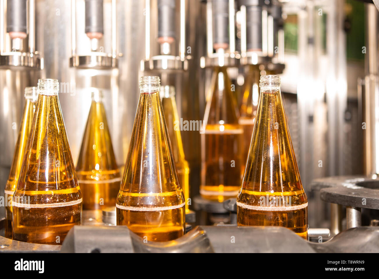 Das Abfüllen von Fruchtsäften im Herbst. Apfelsaft in Flaschen Stockfoto